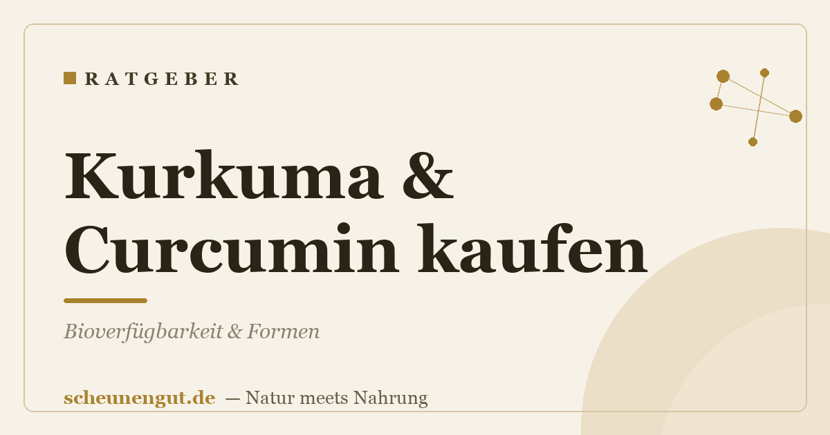 Kurkuma & Curcumin kaufen: Bioverfügbarkeit & Formen