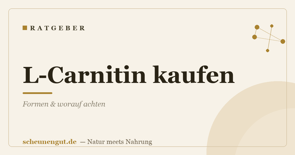 L-Carnitin kaufen: Formen & worauf achten