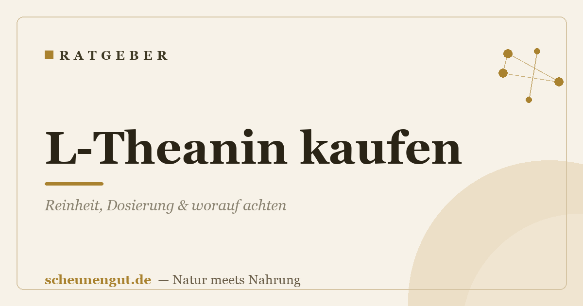 L-Theanin kaufen: Reinheit, Dosierung & worauf achten