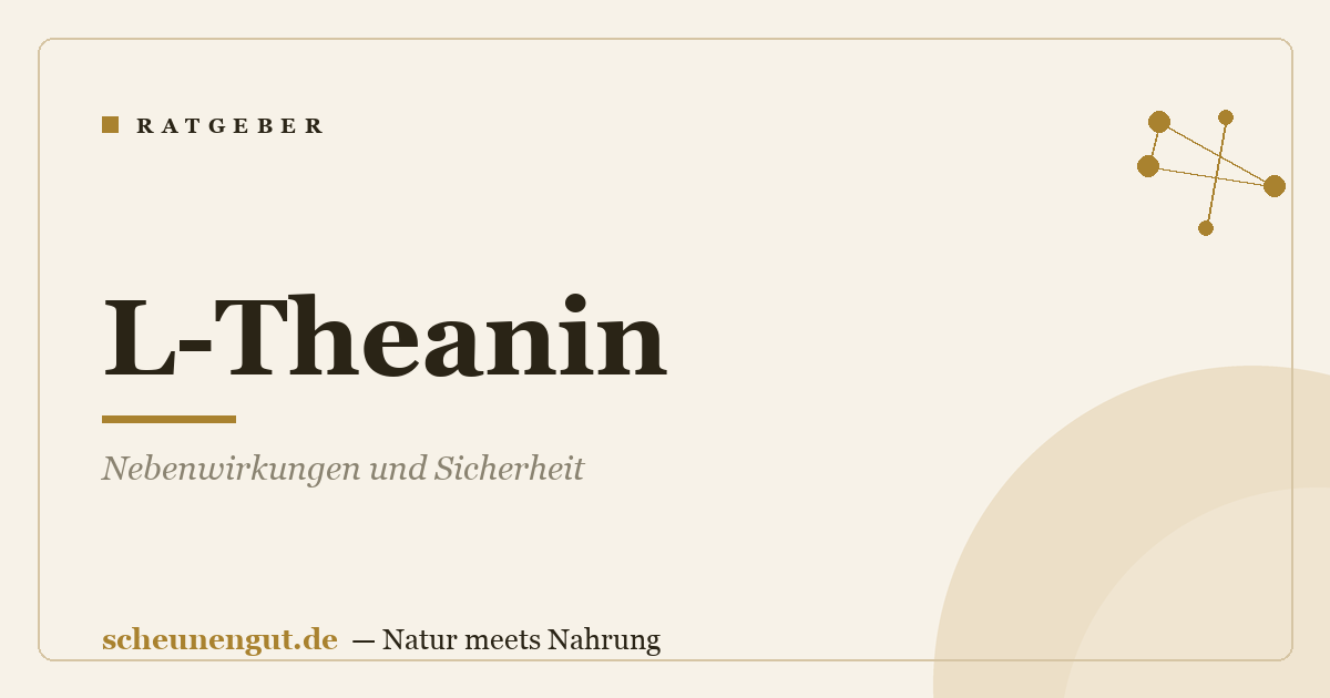 L-Theanin: Nebenwirkungen und Sicherheit
