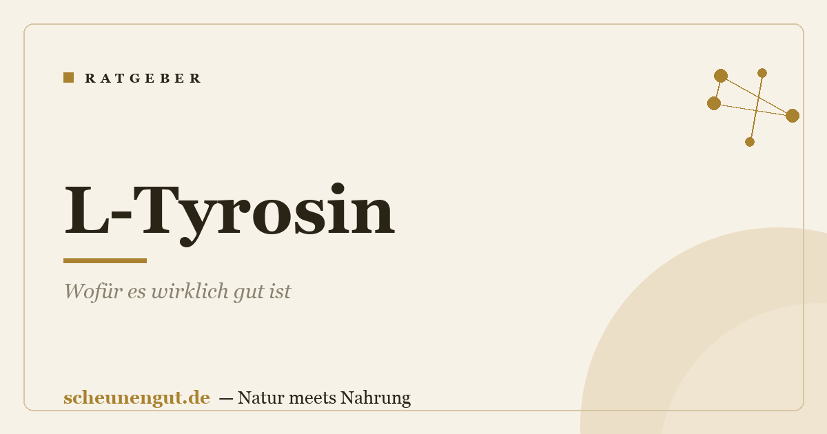 L-Tyrosin: Wofür es wirklich gut ist