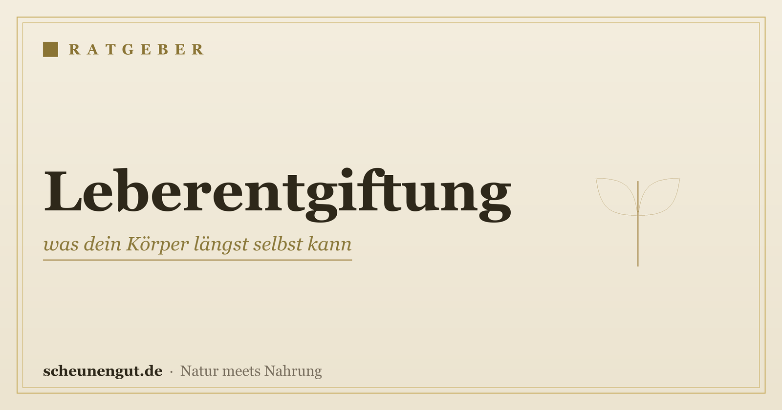 Leberentgiftung: was dein Körper längst selbst kann