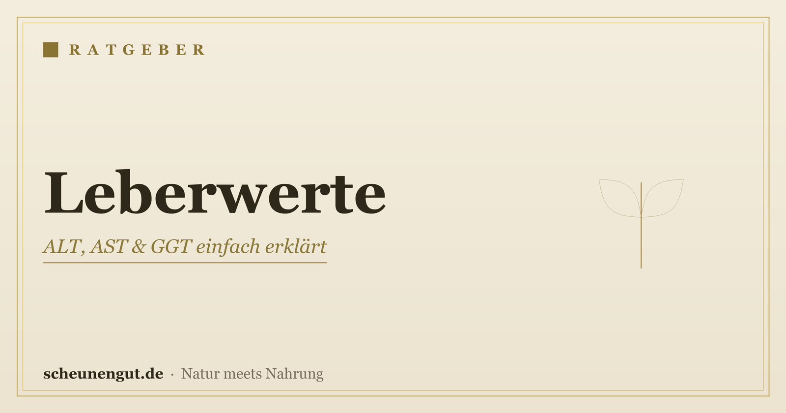Leberwerte: ALT, AST & GGT einfach erklärt