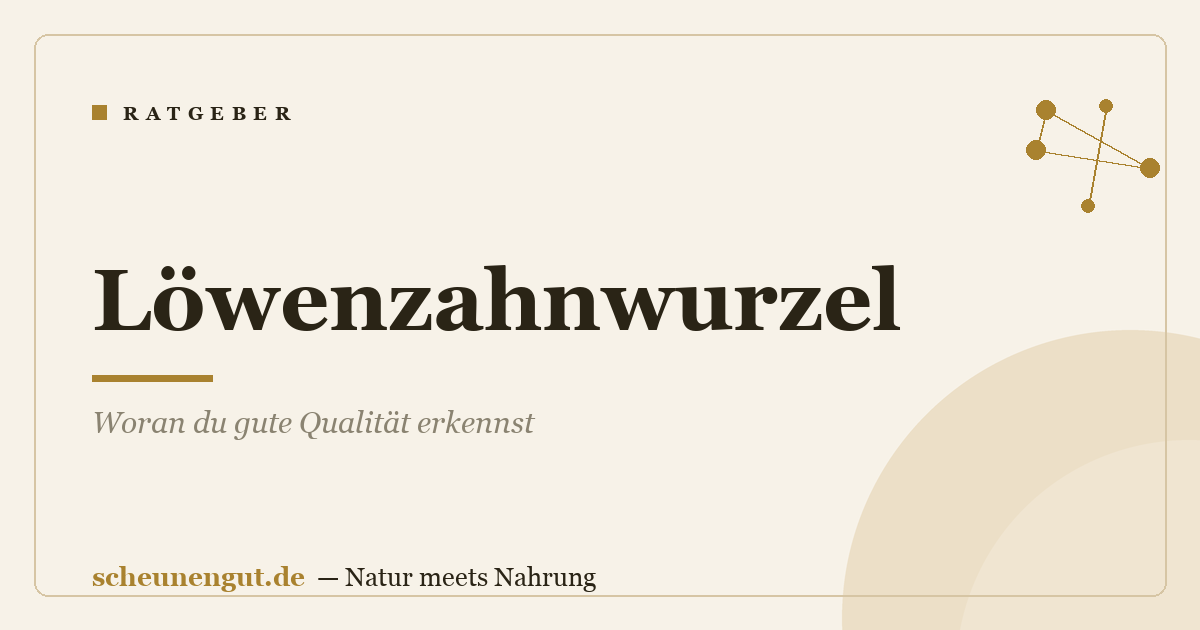 Löwenzahnwurzel: Woran du gute Qualität erkennst