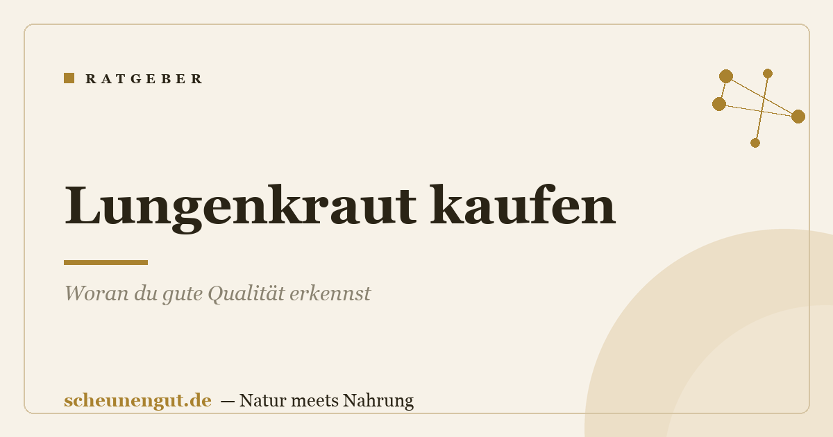 Lungenkraut kaufen: Woran du gute Qualität erkennst