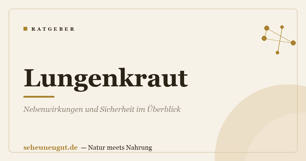 Lungenkraut: Nebenwirkungen und Sicherheit im Überblick