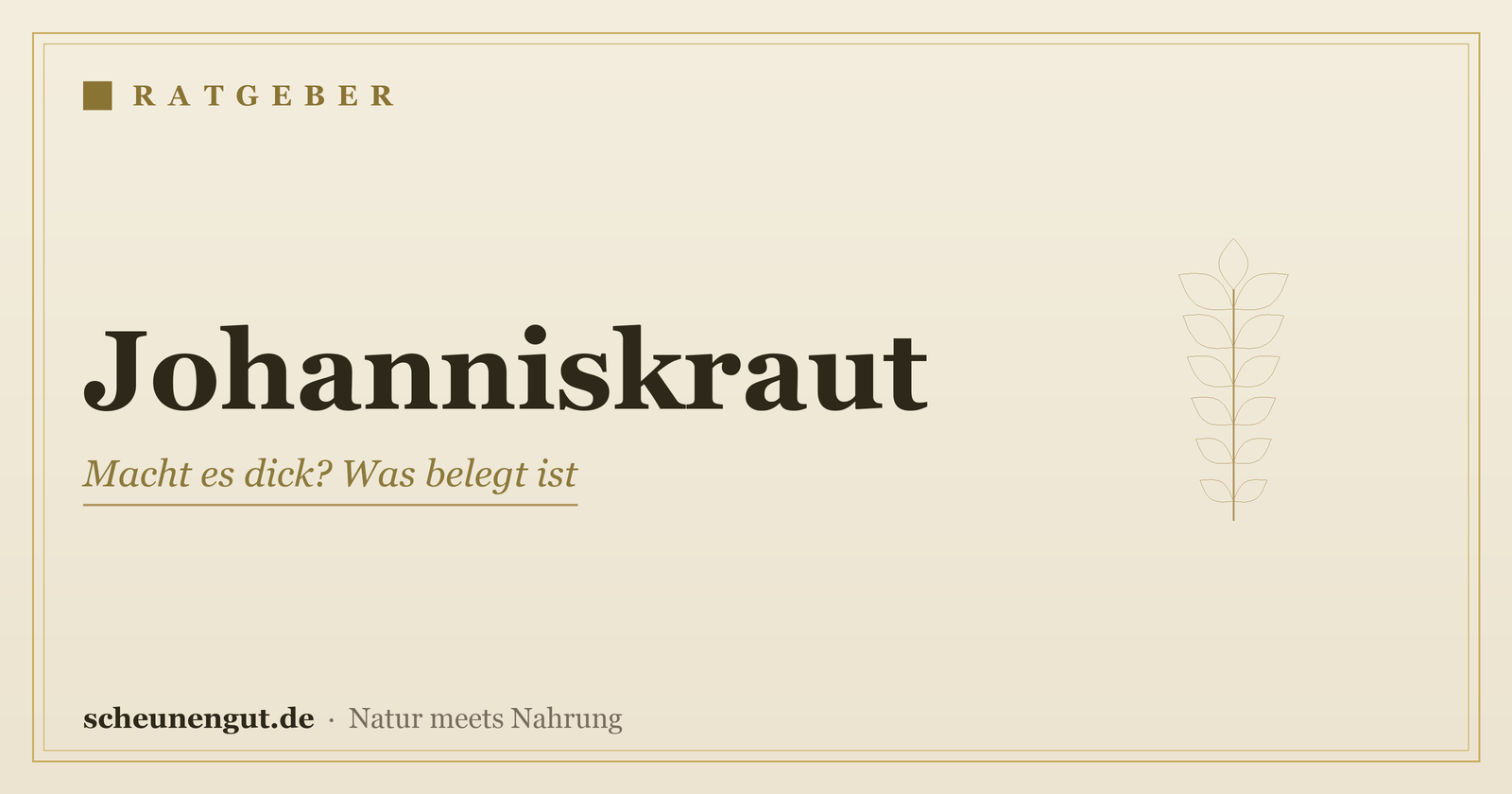 Johanniskraut: Macht es dick? Was belegt ist