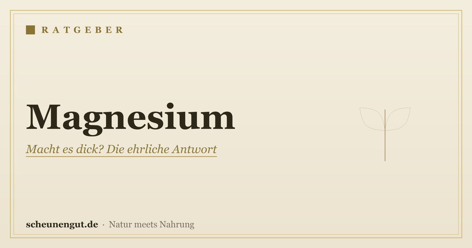 Magnesium: Macht es dick? Die ehrliche Antwort