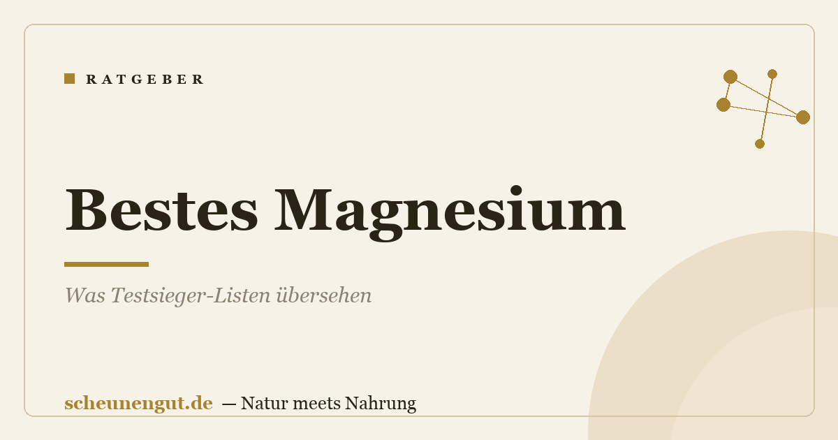 Bestes Magnesium: Was Testsieger-Listen übersehen