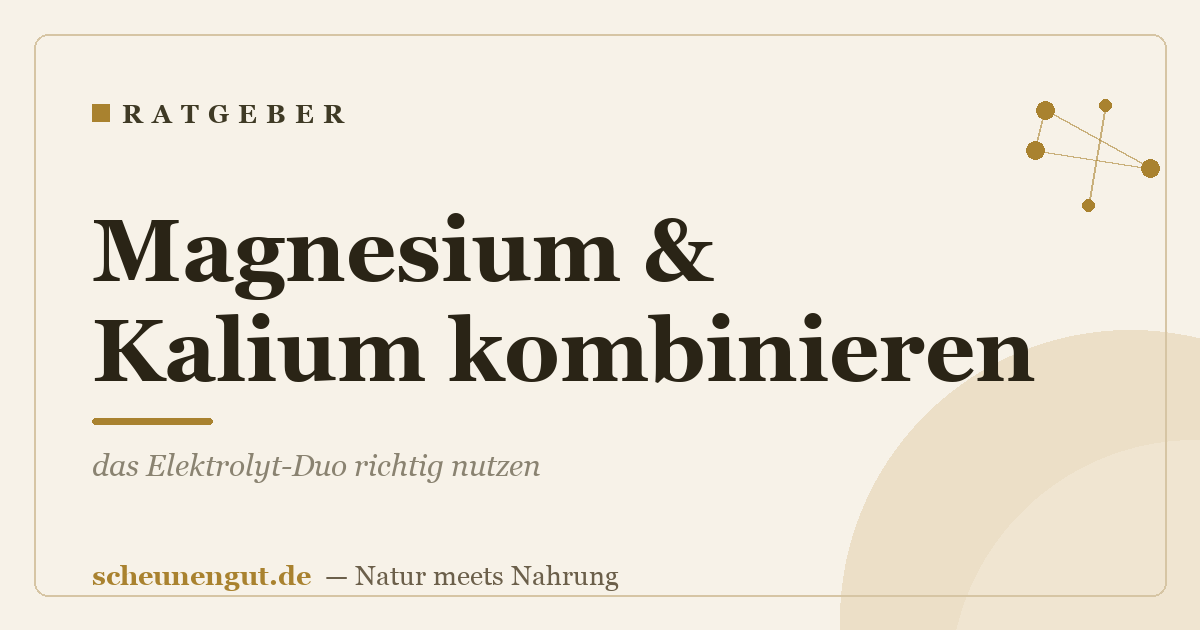 Magnesium & Kalium kombinieren: das Elektrolyt-Duo richtig nutzen