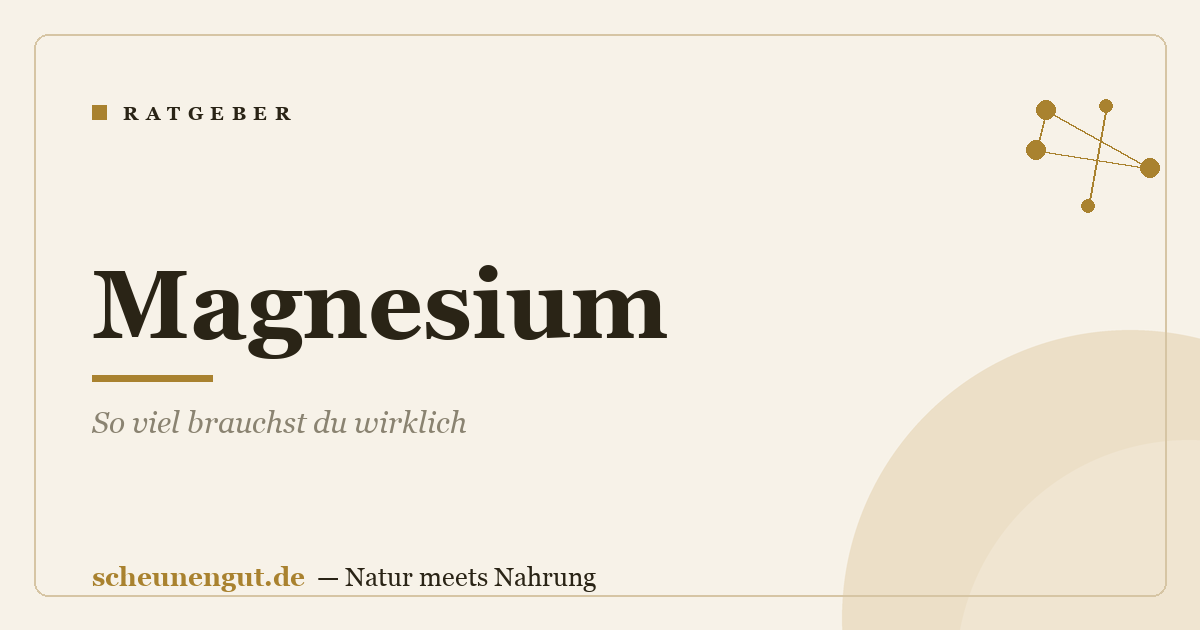 Magnesium: So viel brauchst du wirklich