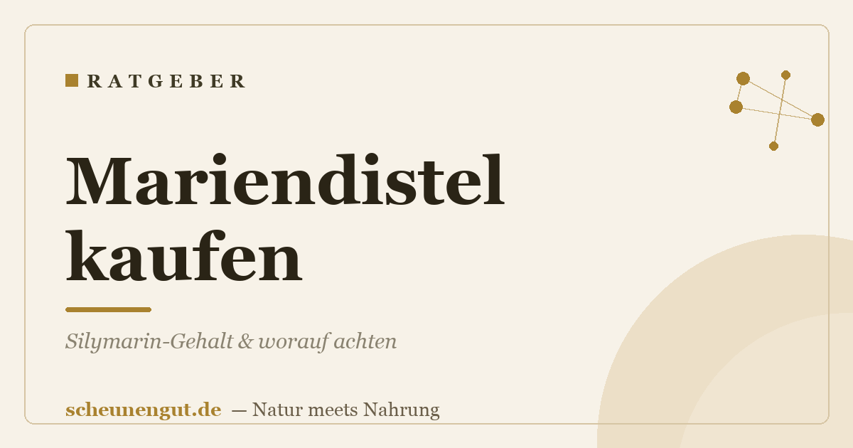 Mariendistel kaufen: Silymarin-Gehalt & worauf achten