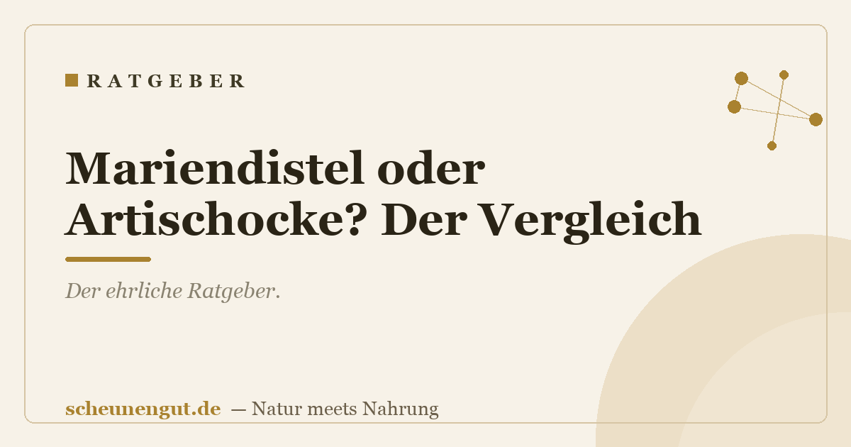 Mariendistel oder Artischocke? Der Vergleich