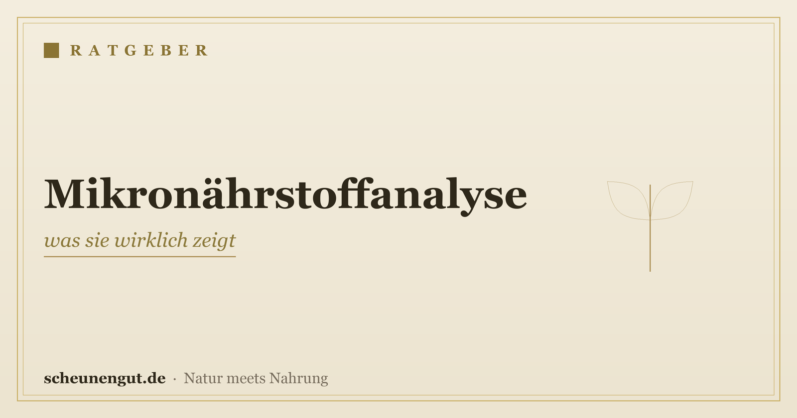 Mikronährstoffanalyse: was sie wirklich zeigt
