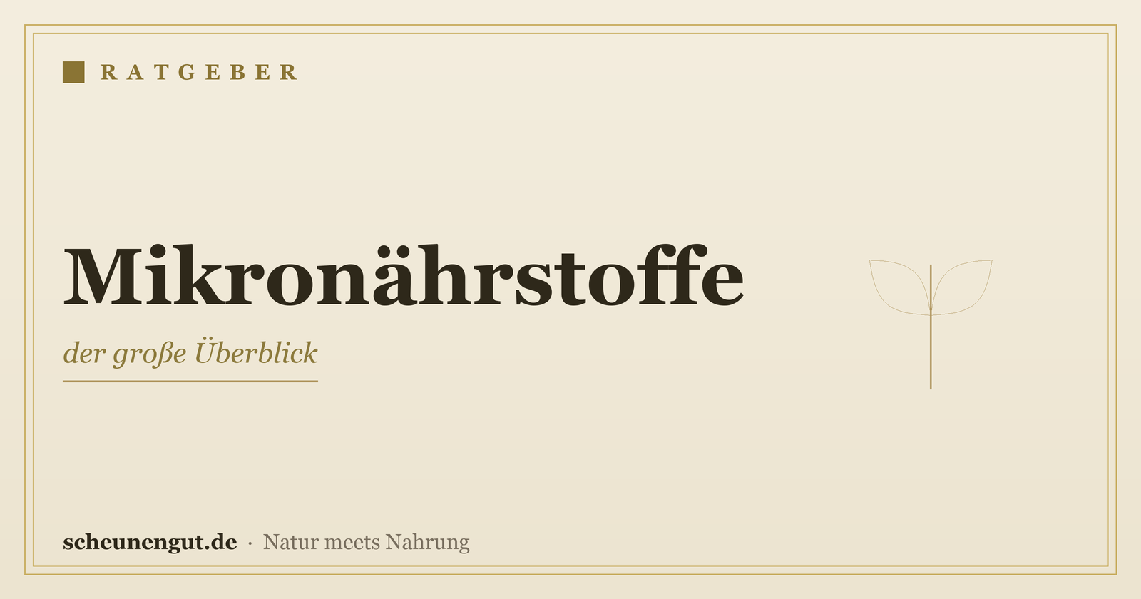 Mikronährstoffe: der große Überblick