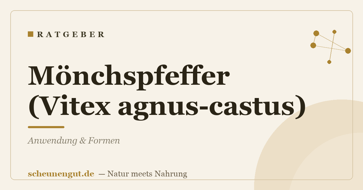 Mönchspfeffer (Vitex agnus-castus): Anwendung & Formen
