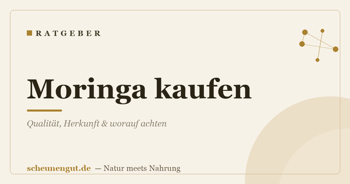 Moringa kaufen: Qualität, Herkunft & worauf achten