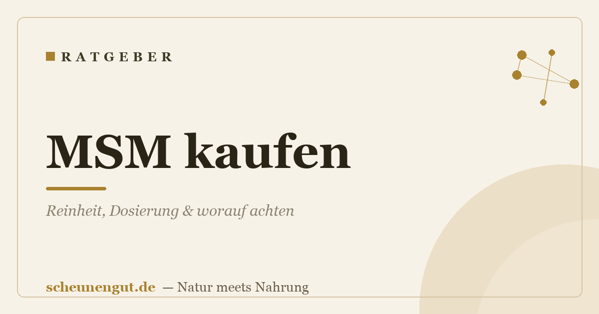 MSM kaufen: Reinheit, Dosierung & worauf achten