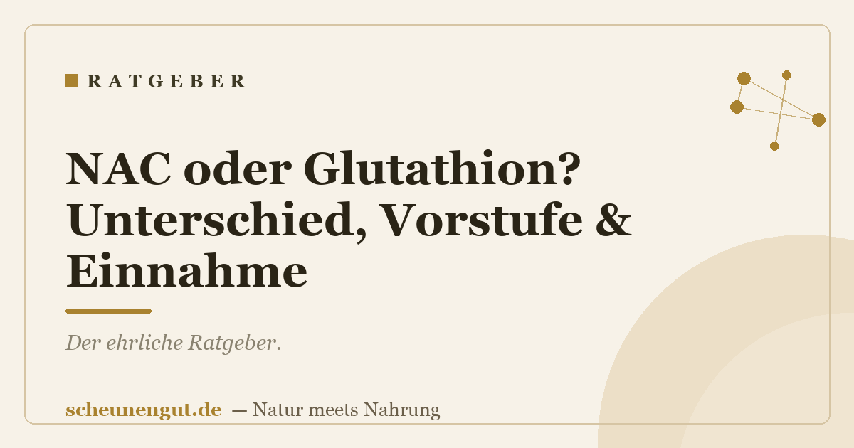 NAC oder Glutathion? Unterschied, Vorstufe & Einnahme
