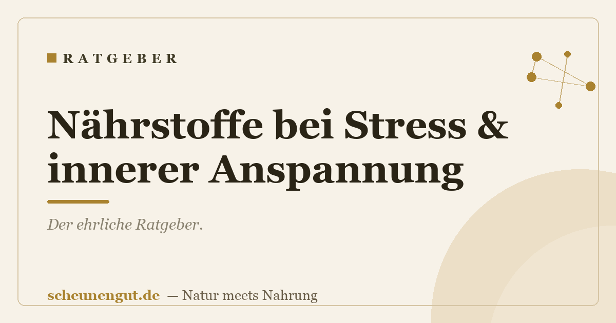 Nährstoffe bei Stress & innerer Anspannung