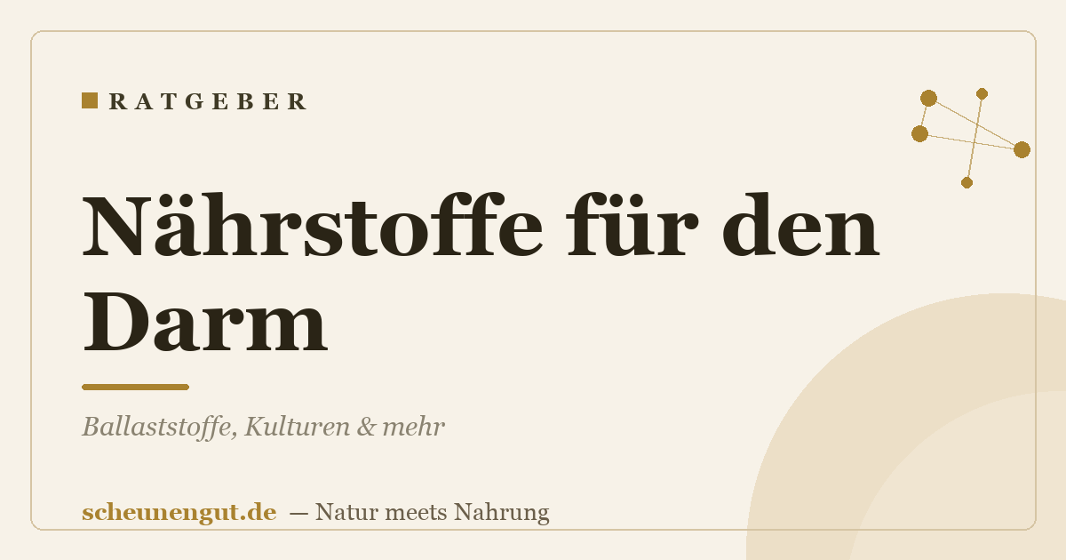 Nährstoffe für den Darm: Ballaststoffe, Kulturen & mehr