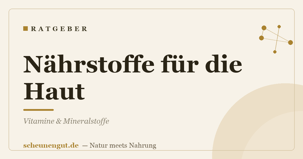 Nährstoffe für die Haut: Vitamine & Mineralstoffe