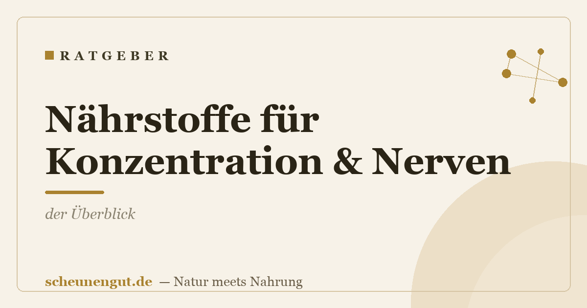 Nährstoffe für Konzentration & Nerven: der Überblick