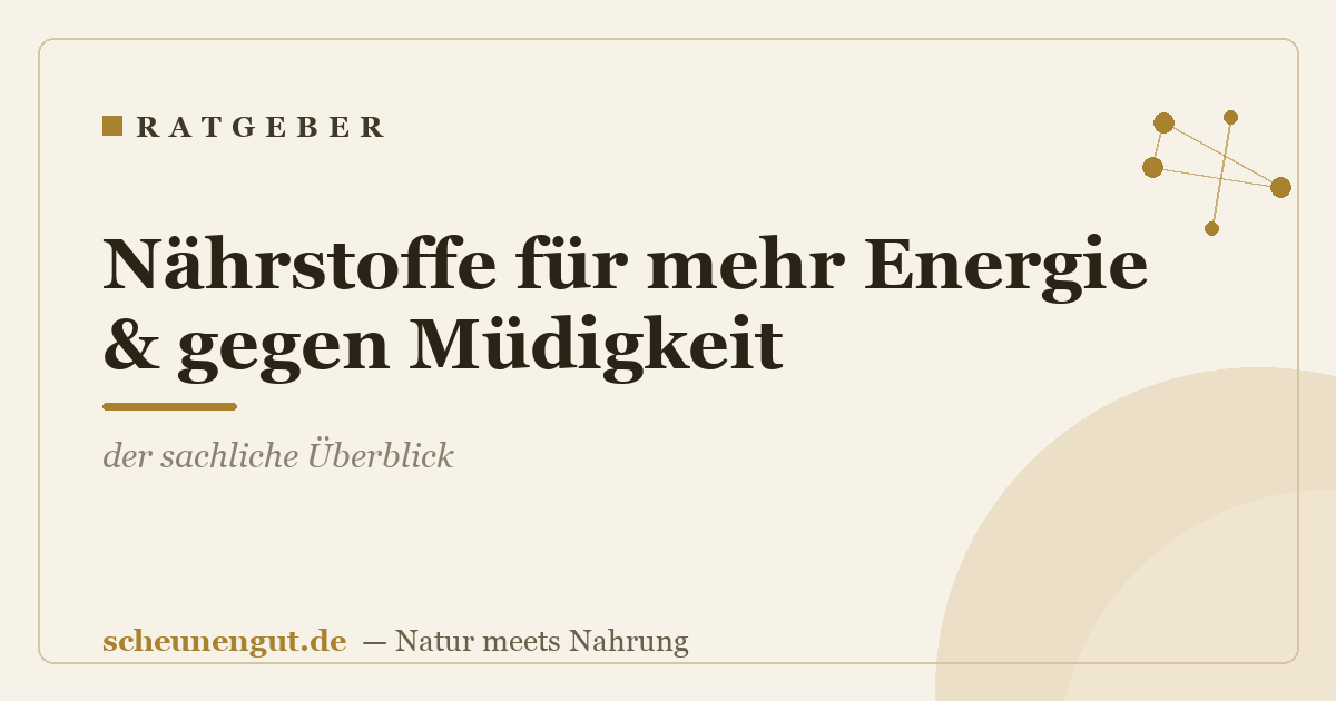 Nährstoffe für mehr Energie & gegen Müdigkeit: der sachliche Überblick