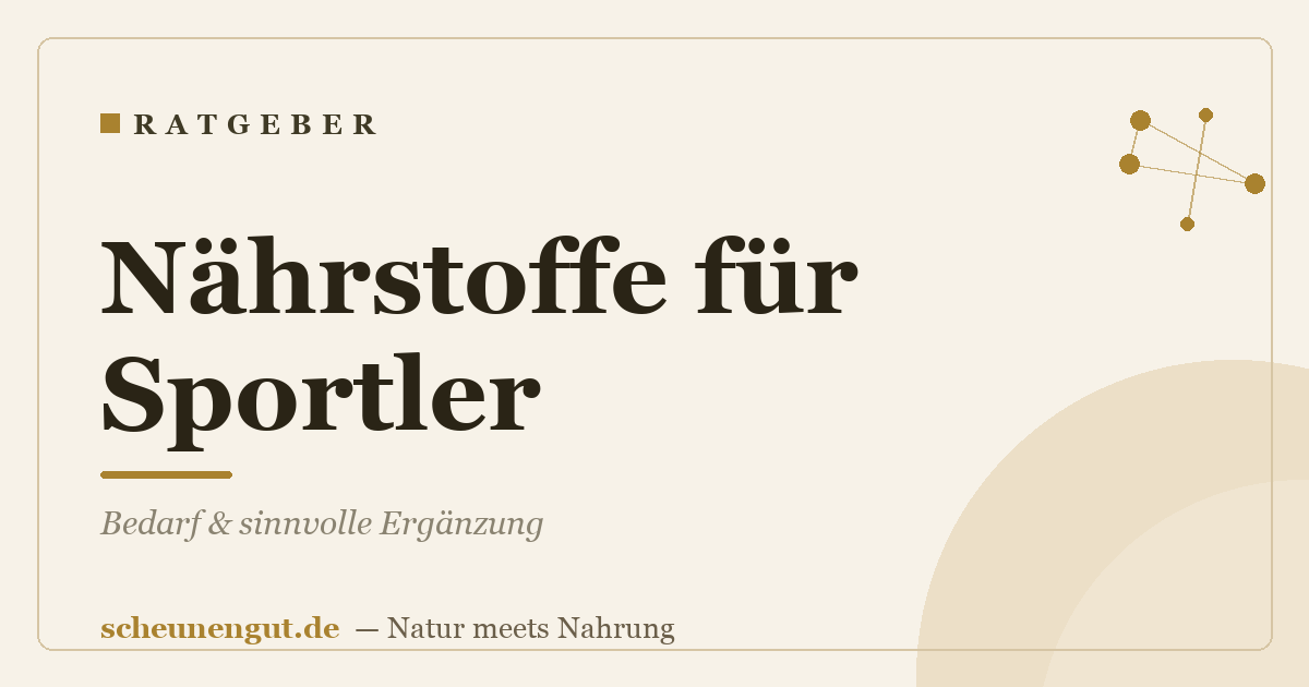 Nährstoffe für Sportler: Bedarf & sinnvolle Ergänzung