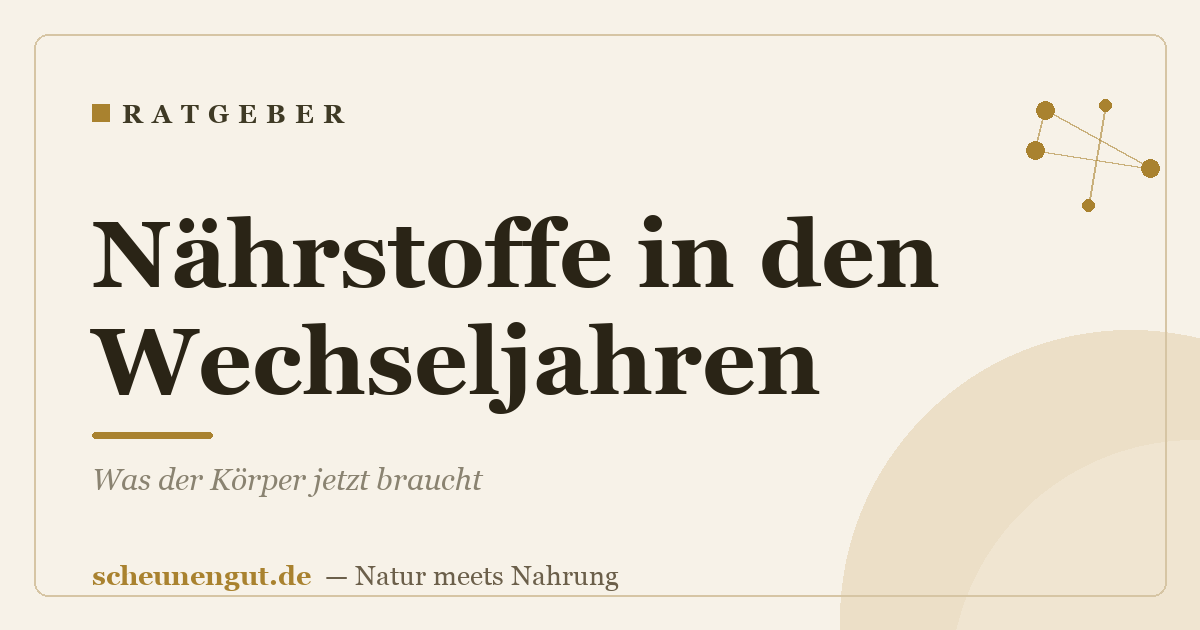 Nährstoffe in den Wechseljahren: Was der Körper jetzt braucht