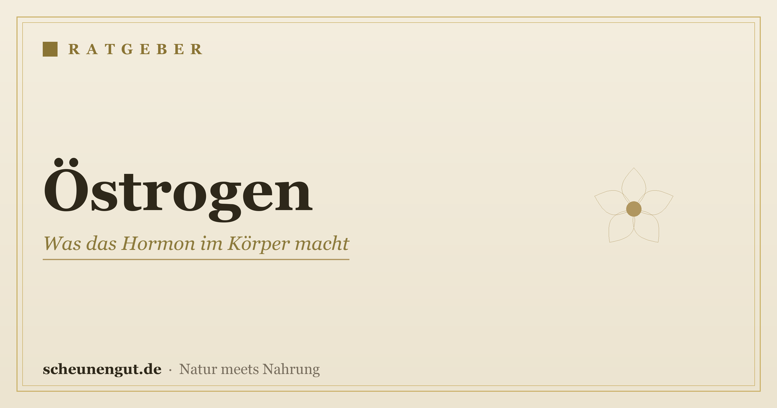 Östrogen: Was das Hormon im Körper macht