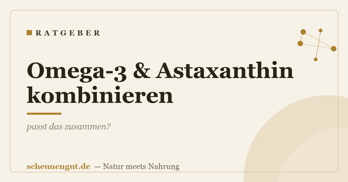 Omega-3 & Astaxanthin kombinieren: passt das zusammen?