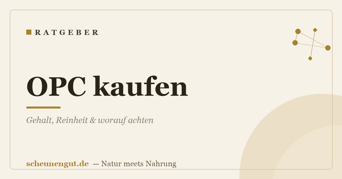 OPC kaufen: Gehalt, Reinheit & worauf achten
