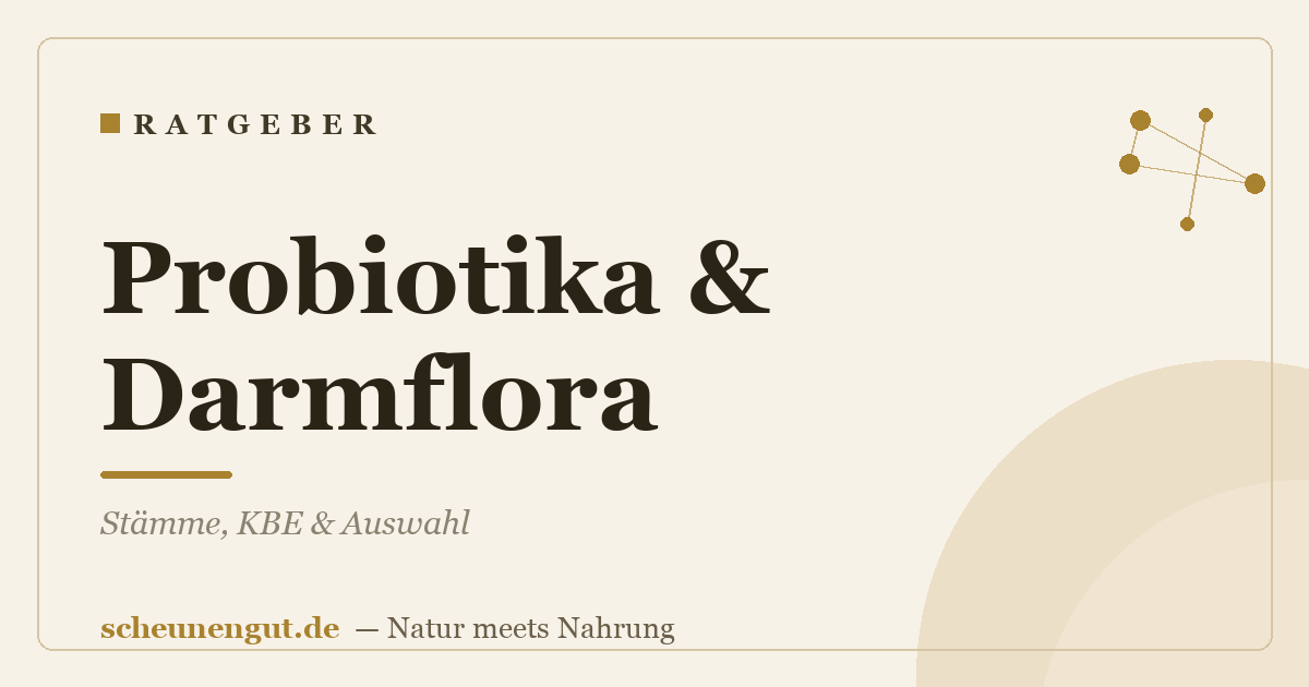Probiotika & Darmflora: Stämme, KBE & Auswahl