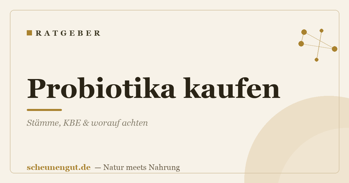 Probiotika kaufen: Stämme, KBE & worauf achten
