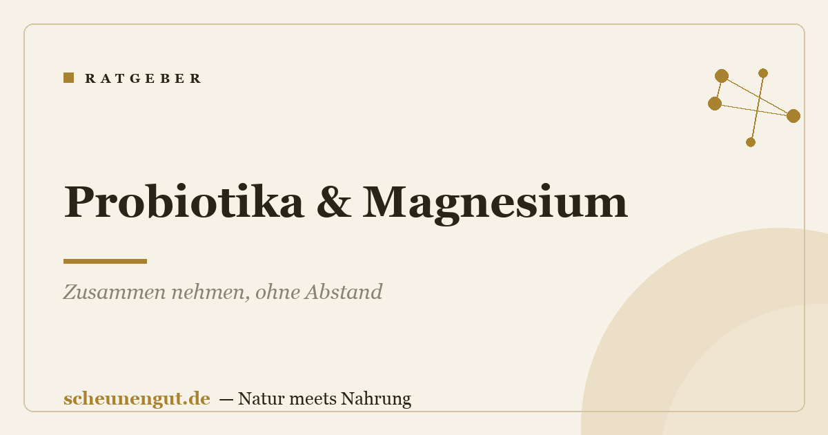 Probiotika & Magnesium: Zusammen nehmen, ohne Abstand
