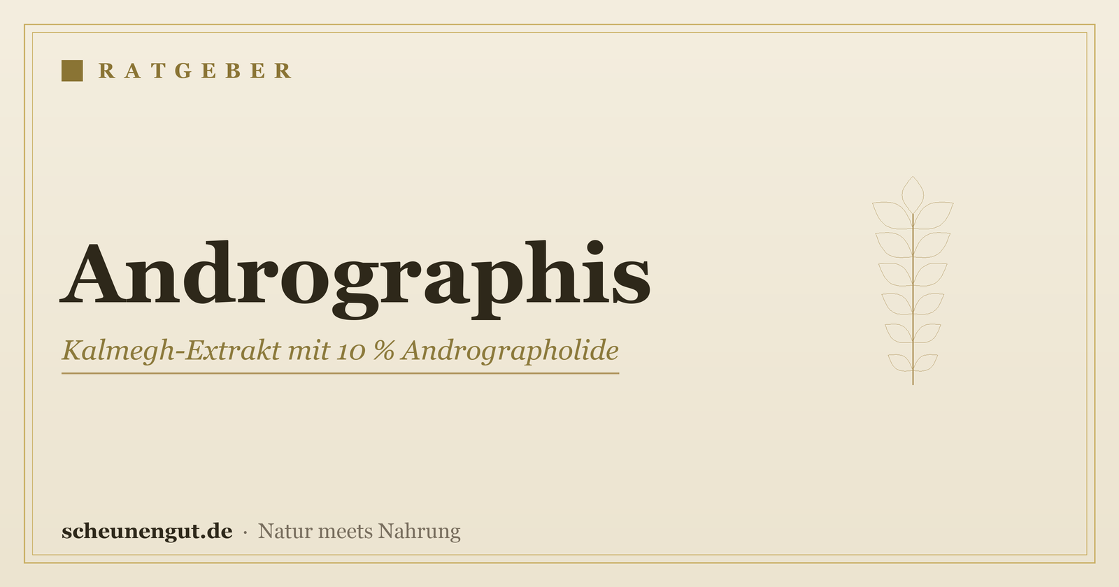 Andrographis: Kalmegh-Extrakt mit 10 % Andrographolide