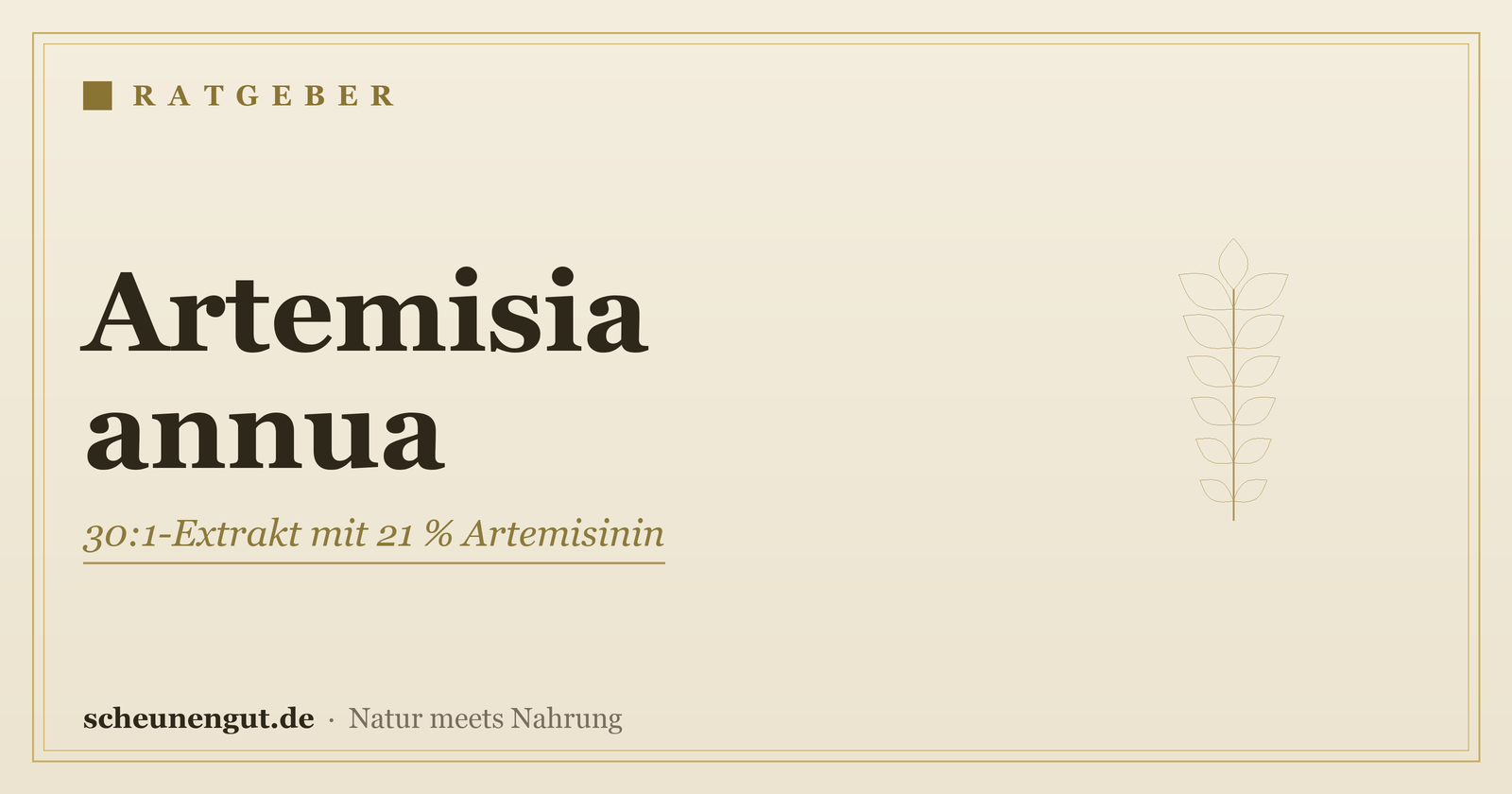 Artemisia annua: 30:1-Extrakt mit 21 % Artemisinin