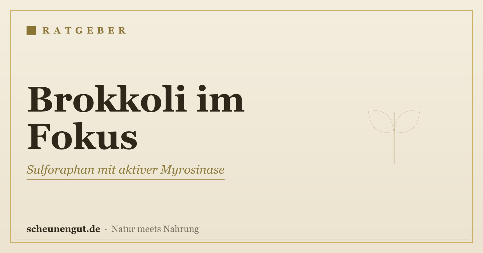 Brokkoli im Fokus: Sulforaphan mit aktiver Myrosinase