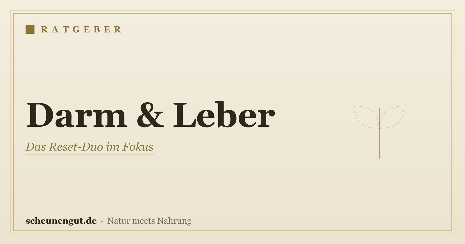 Darm & Leber: Das Reset-Duo im Fokus