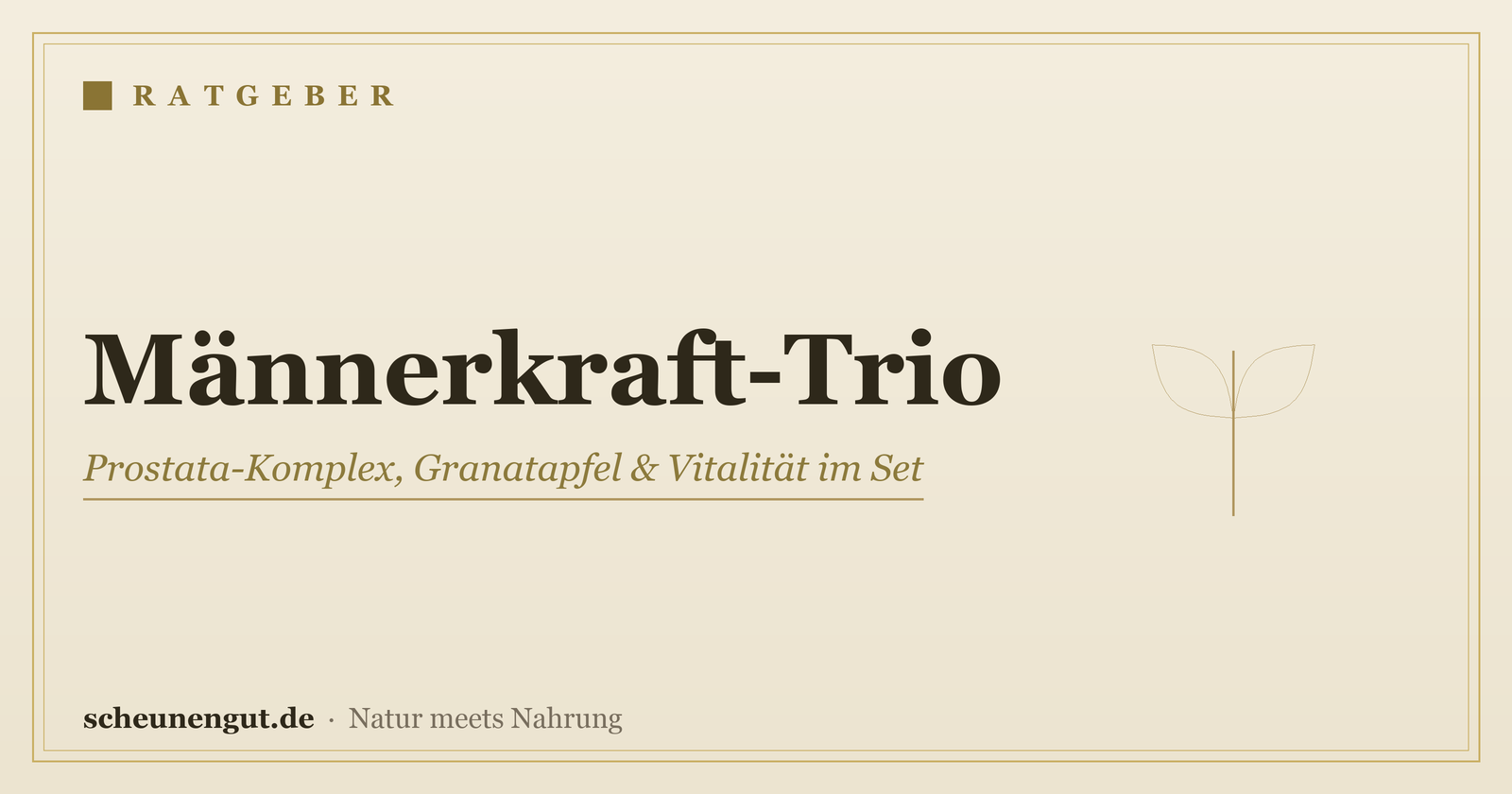 Männerkraft-Trio: Prostata-Komplex, Granatapfel & Vitalität im Set