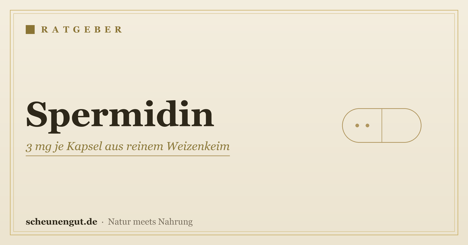 Spermidin: 3 mg je Kapsel aus reinem Weizenkeim