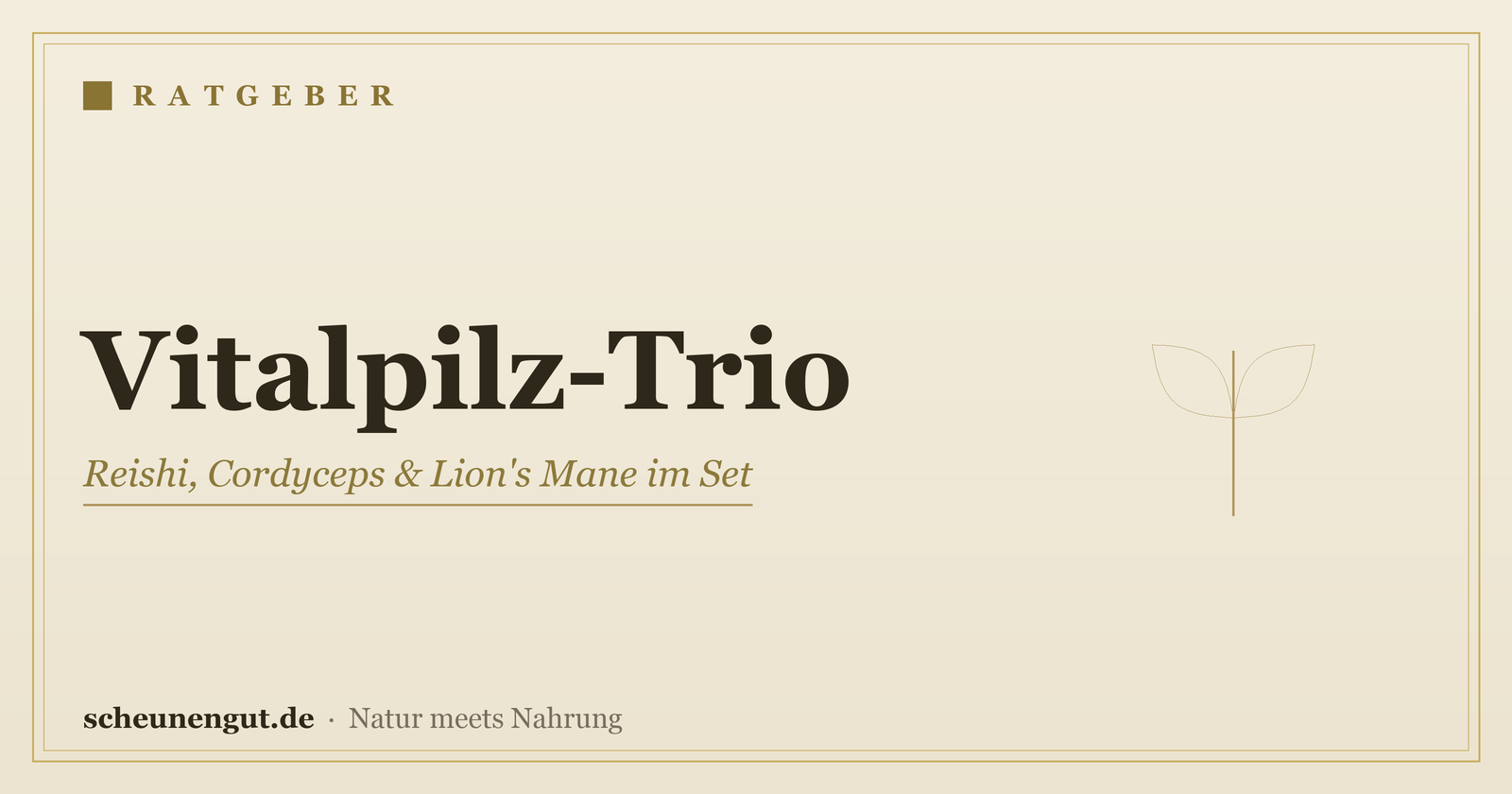 Vitalpilz-Trio: Reishi, Cordyceps & Lion's Mane im Set