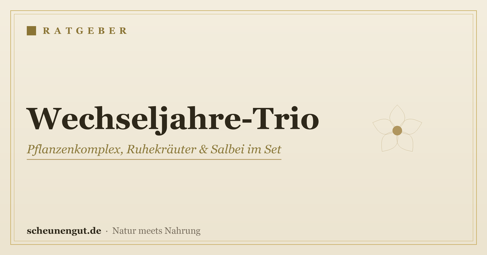 Wechseljahre-Trio: Pflanzenkomplex, Ruhekräuter & Salbei im Set