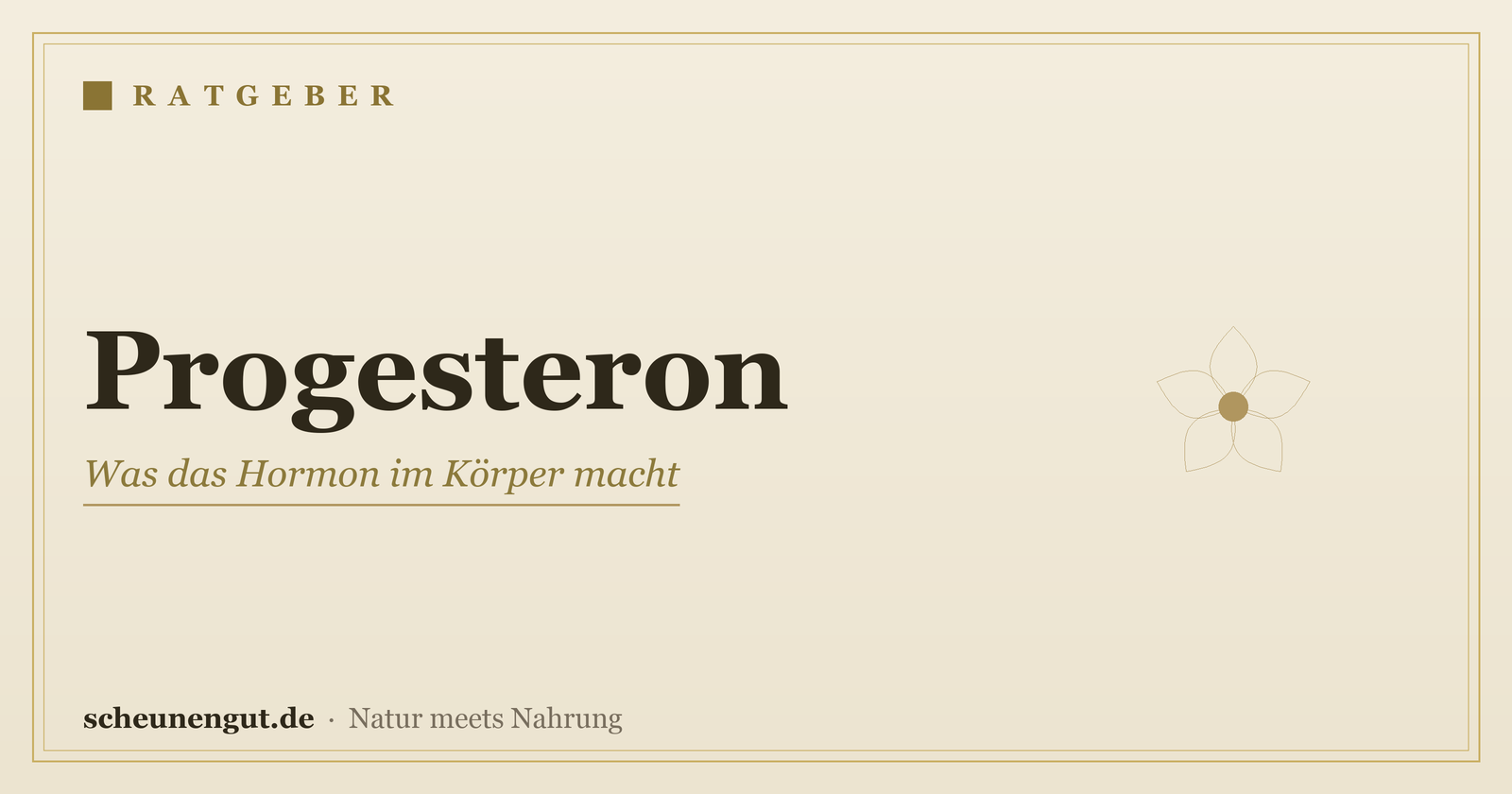 Progesteron: Was das Hormon im Körper macht