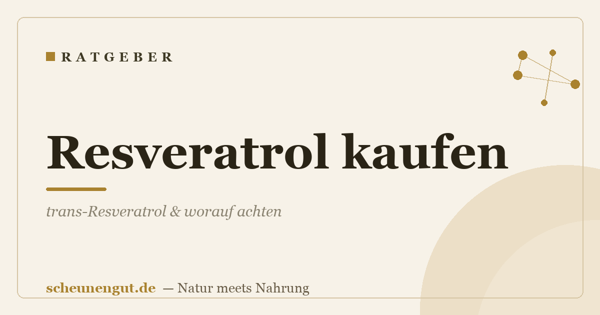 Resveratrol kaufen: trans-Resveratrol & worauf achten