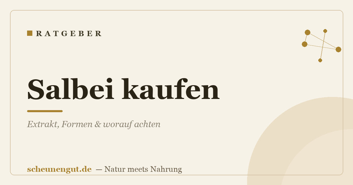 Salbei kaufen: Extrakt, Formen & worauf achten
