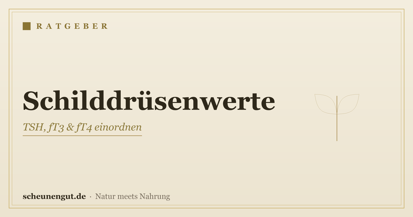 Schilddrüsenwerte: TSH, fT3 & fT4 einordnen