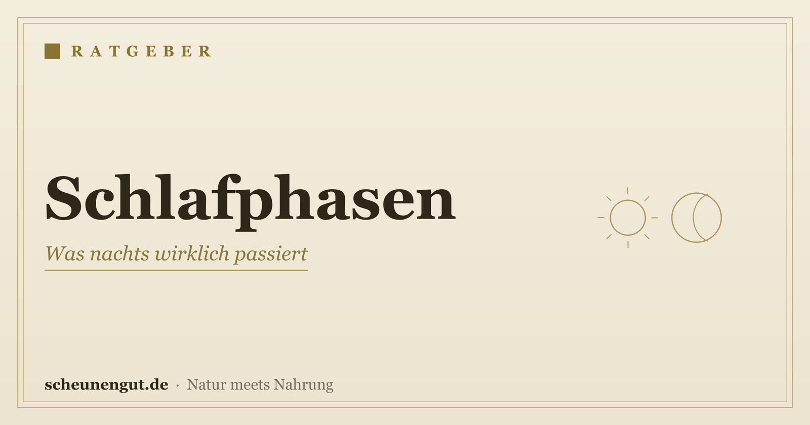 Schlafphasen: Was nachts wirklich passiert