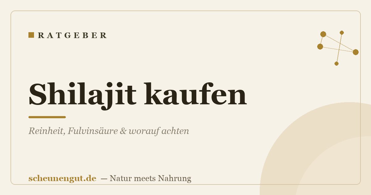 Shilajit kaufen: Reinheit, Fulvinsäure & worauf achten
